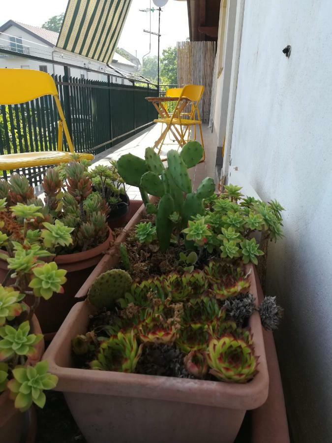 Appartamento Blanche Agerola Esterno foto
