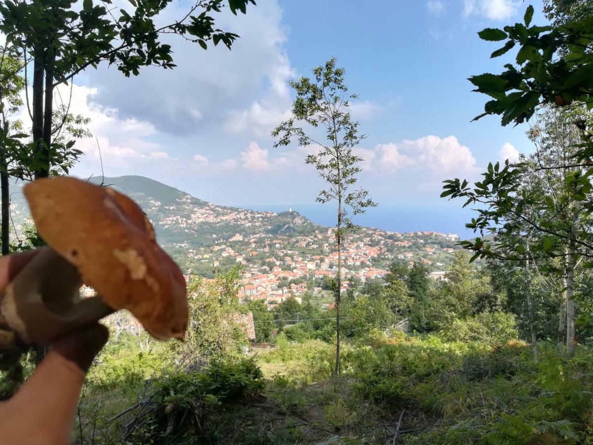 Appartamento Blanche Agerola Esterno foto